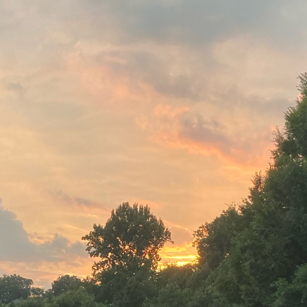 Meet your Posher, Sophie